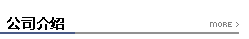 公司介绍标题